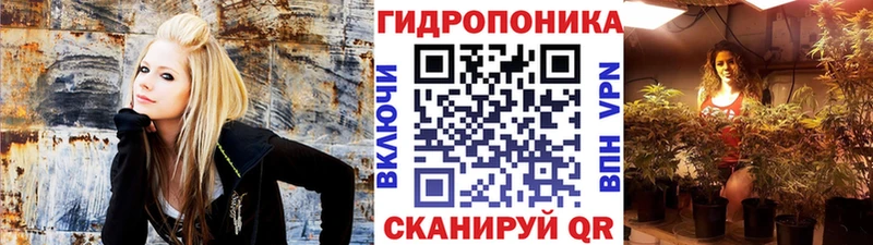 Наркота Курлово A-PVP Галлюциногенные грибы Конопля COCAIN Codein ГАШИШ